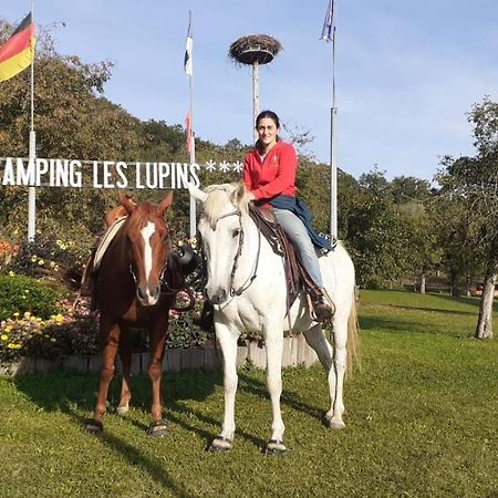 Hotel Camping Les Lupins Seppois-le-Bas Exterior foto