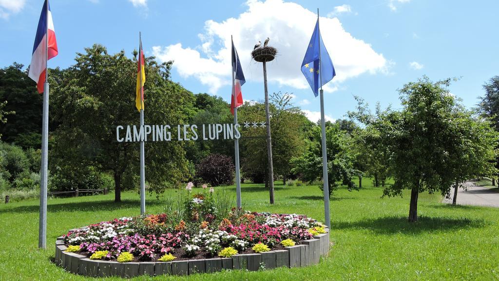 Hotel Camping Les Lupins Seppois-le-Bas Exterior foto